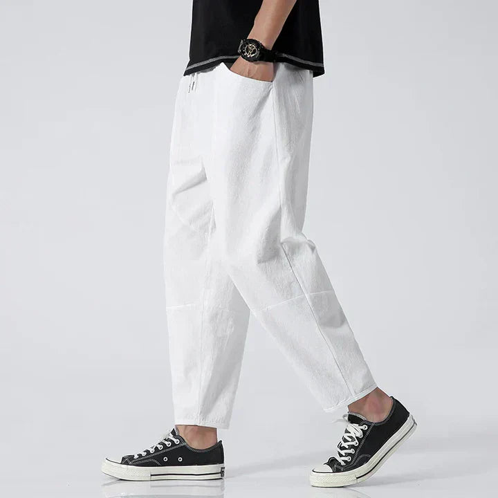 Alex Stylish Relaxed-Fit Casual Pants