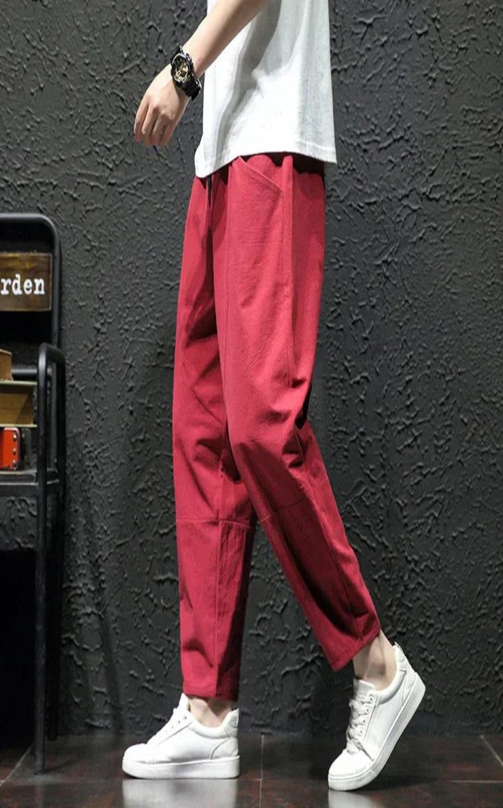 Alex Stylish Relaxed-Fit Casual Pants