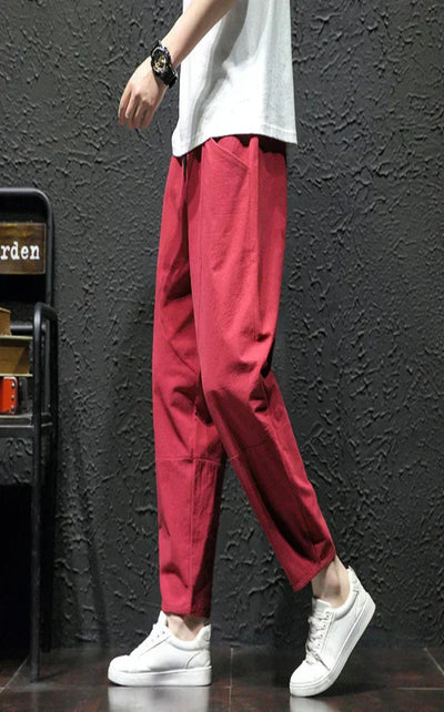 Alex Stylish Relaxed-Fit Casual Pants