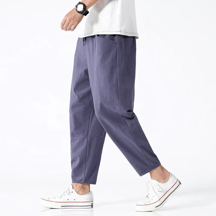 Alex Stylish Relaxed-Fit Casual Pants
