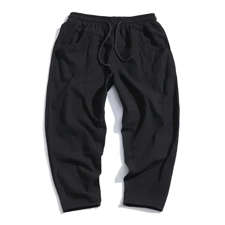Alex Stylish Relaxed-Fit Casual Pants