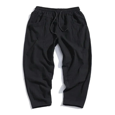 Alex Stylish Relaxed-Fit Casual Pants